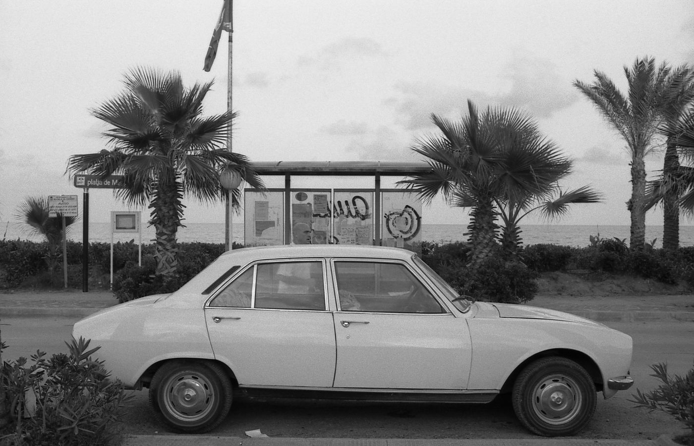 Peugeot, front de mer