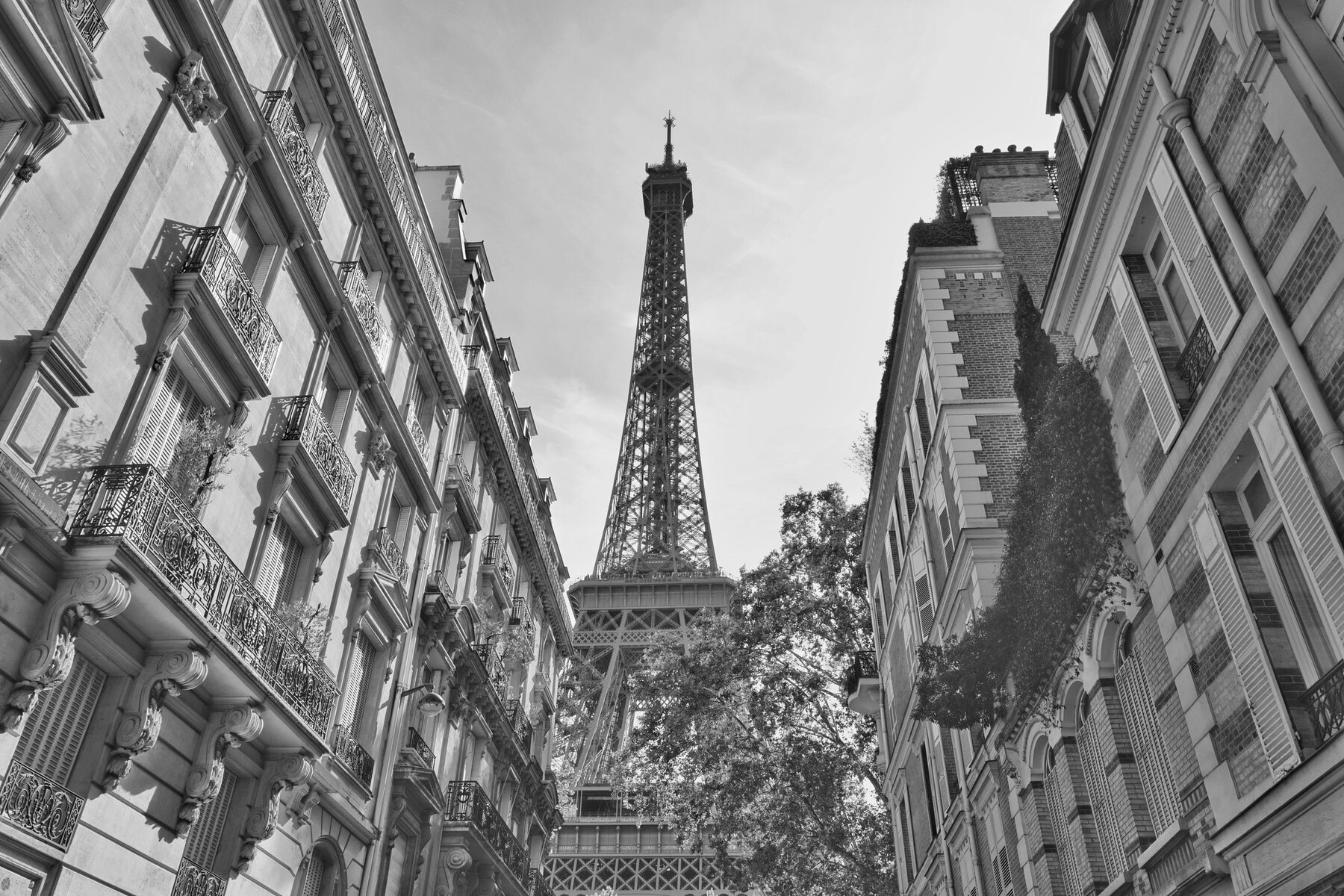 Tour Eiffel entre les immeubles