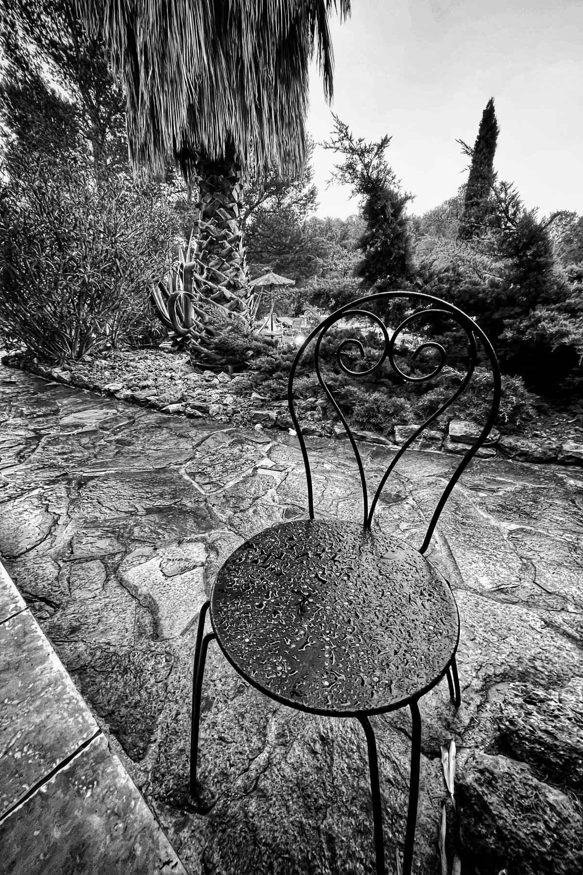 Chaise en fer forgé, jardin